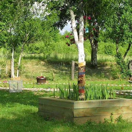 Apartments Eco Forest Resort Rakovica Exterior photo