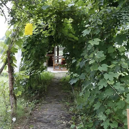 Apartments Eco Forest Resort Rakovica Exterior photo