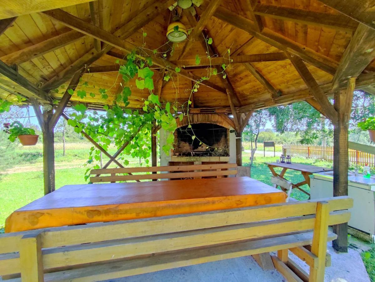 Eco Forest