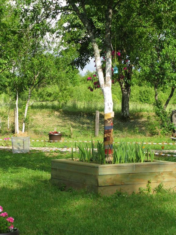 Apartment Eco Forest Rakovica
