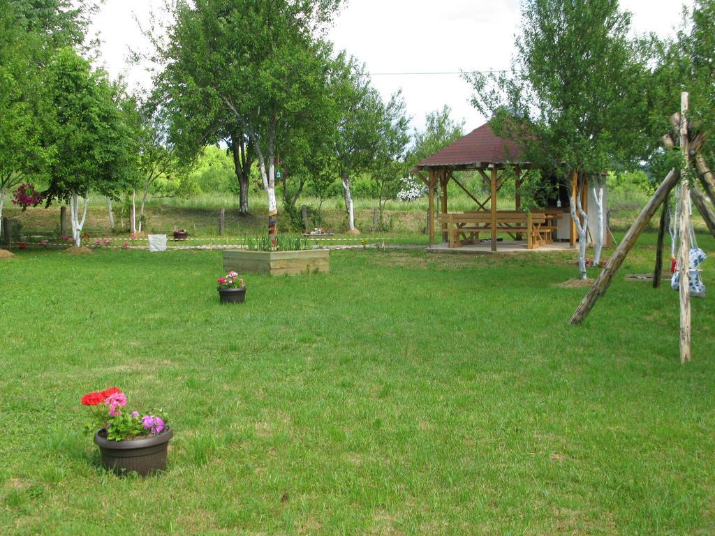 Eco Forest
