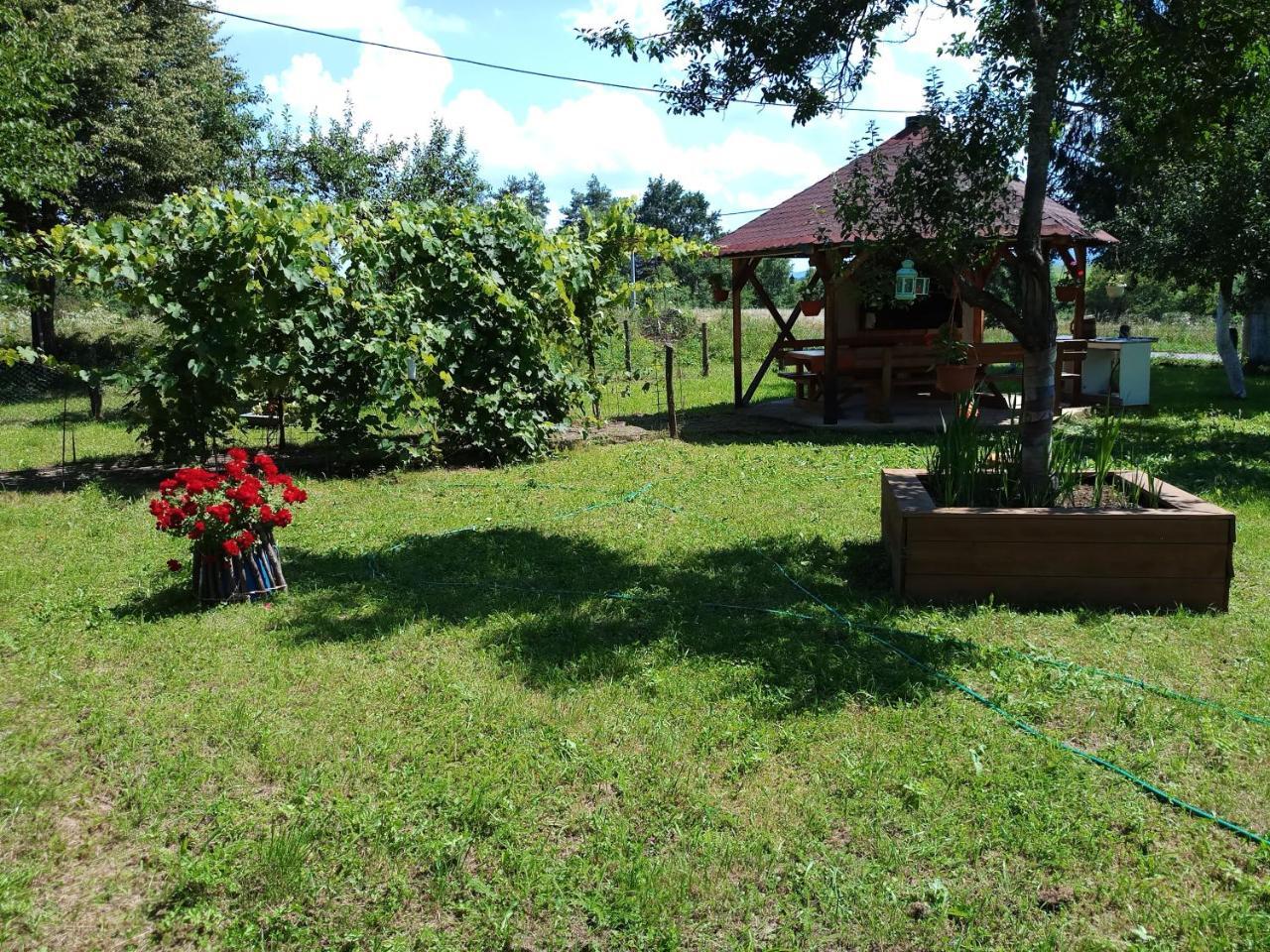 Apartment Eco Forest Rakovica