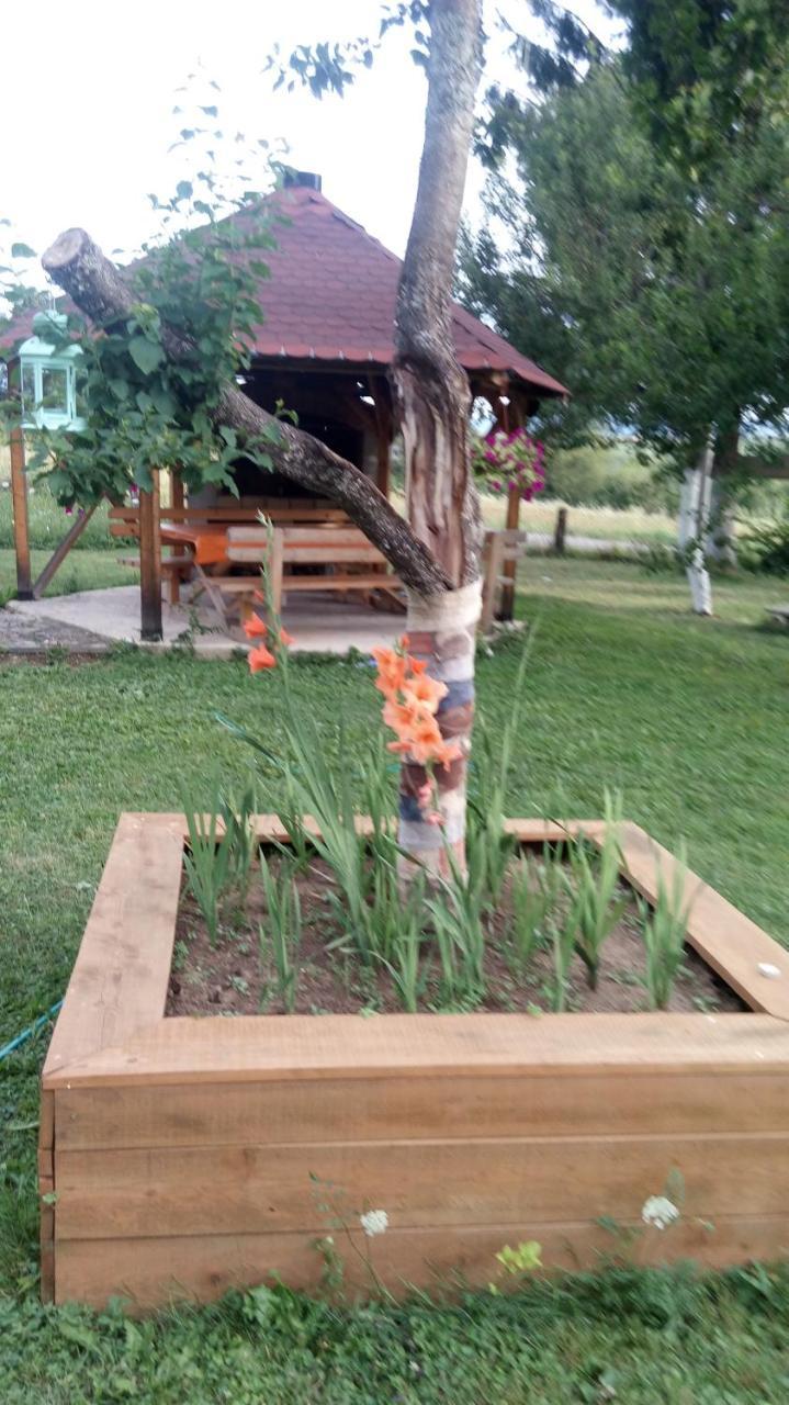 Eco Forest * Rakovica