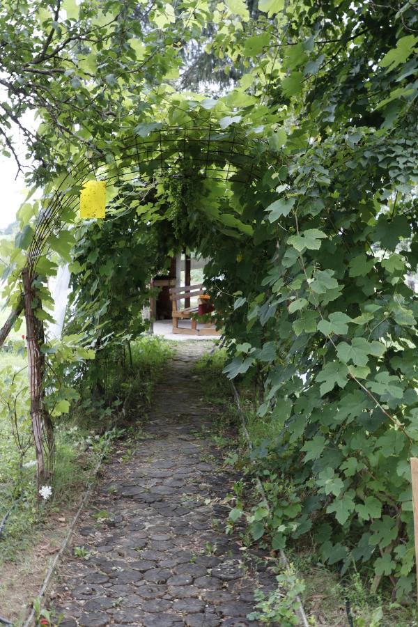 Eco Forest *